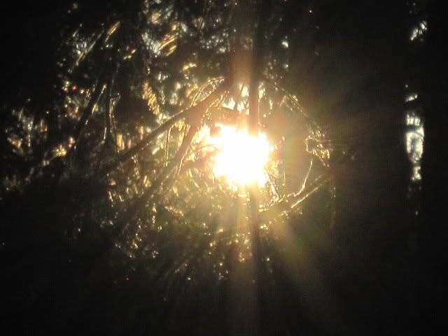 733db145a0d0e6c06d2d46e57b1ceaa6