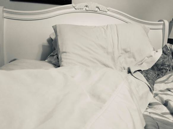 83767673_1474986429346846_6329985928274116608_n (1)