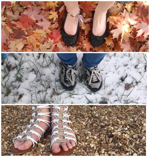 86643510_481938875829851_2595783383644635136_n